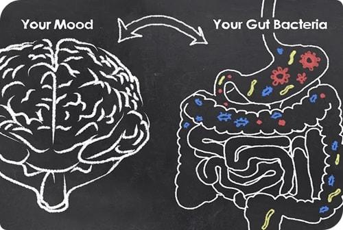 The link between the gut and the mind